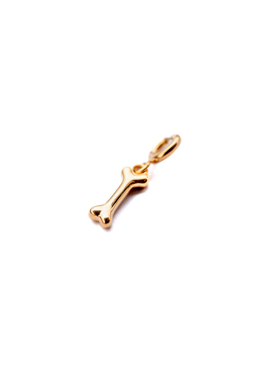 Bone charm