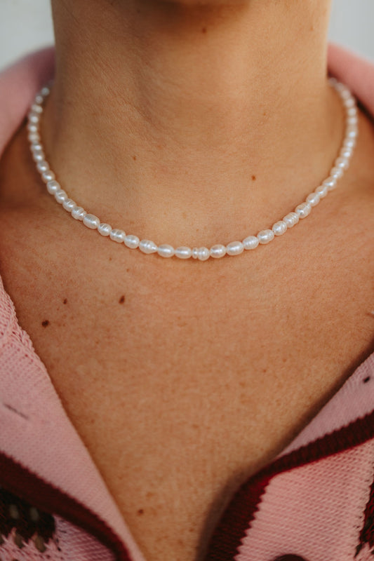 Chocker Cassis